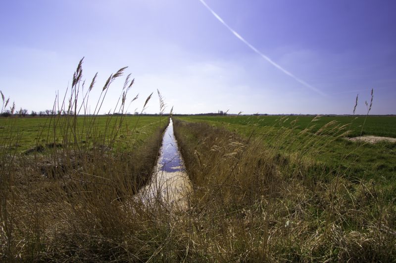 Drain Field Assessment