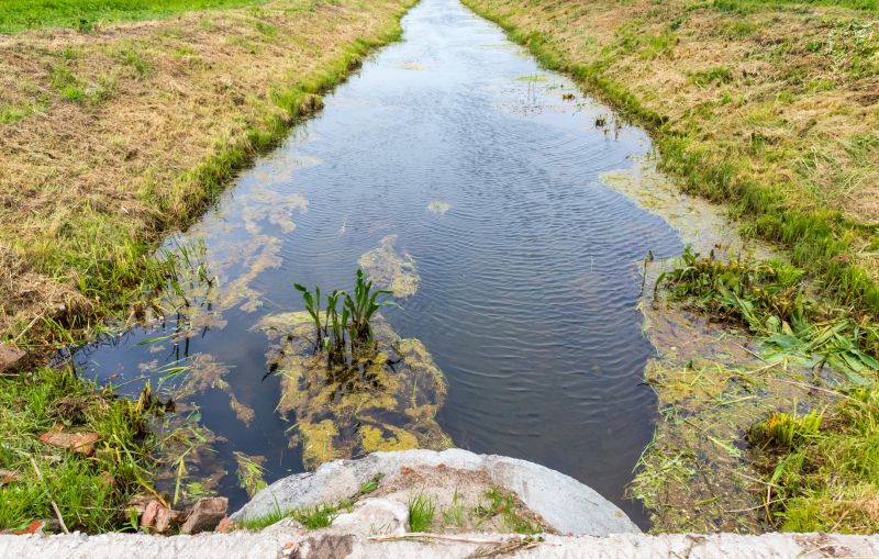 Drain Field Assessment